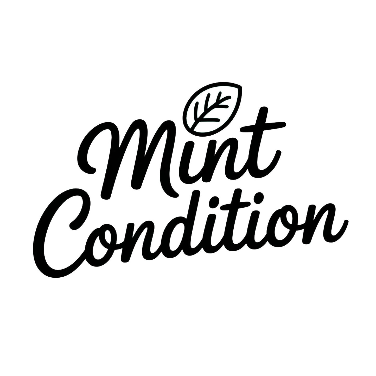 Mint Condition Lip Balm 10g – Vegan Chocolate Mint Lip Balm