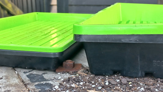 How Deep Should Microgreen Trays Be?