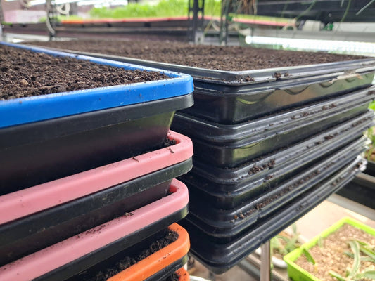Are Heavy Duty Microgreen Trays Worth It? We Timed the Difference