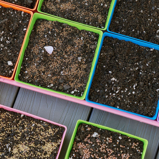 The Ultimate Bootstrap Farmer Sizing & Modular Guide for NZ Growers