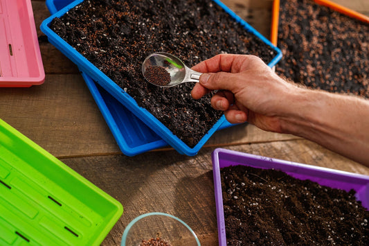 The Strongest 1020 Microgreen Trays in New Zealand