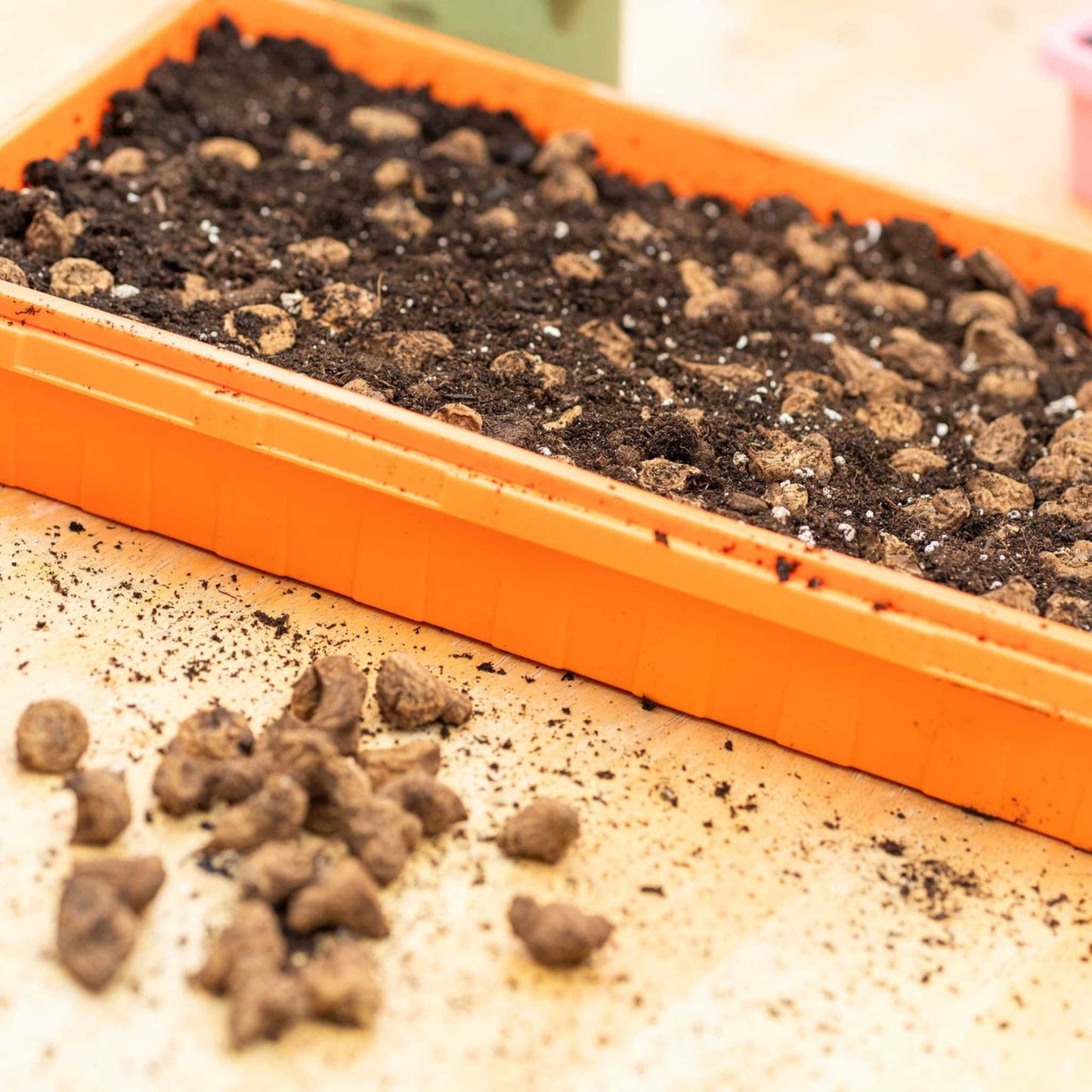 Bootstrap Farmer 1020 Deep Microgreen Trays | Extra-Strength NZ Stock