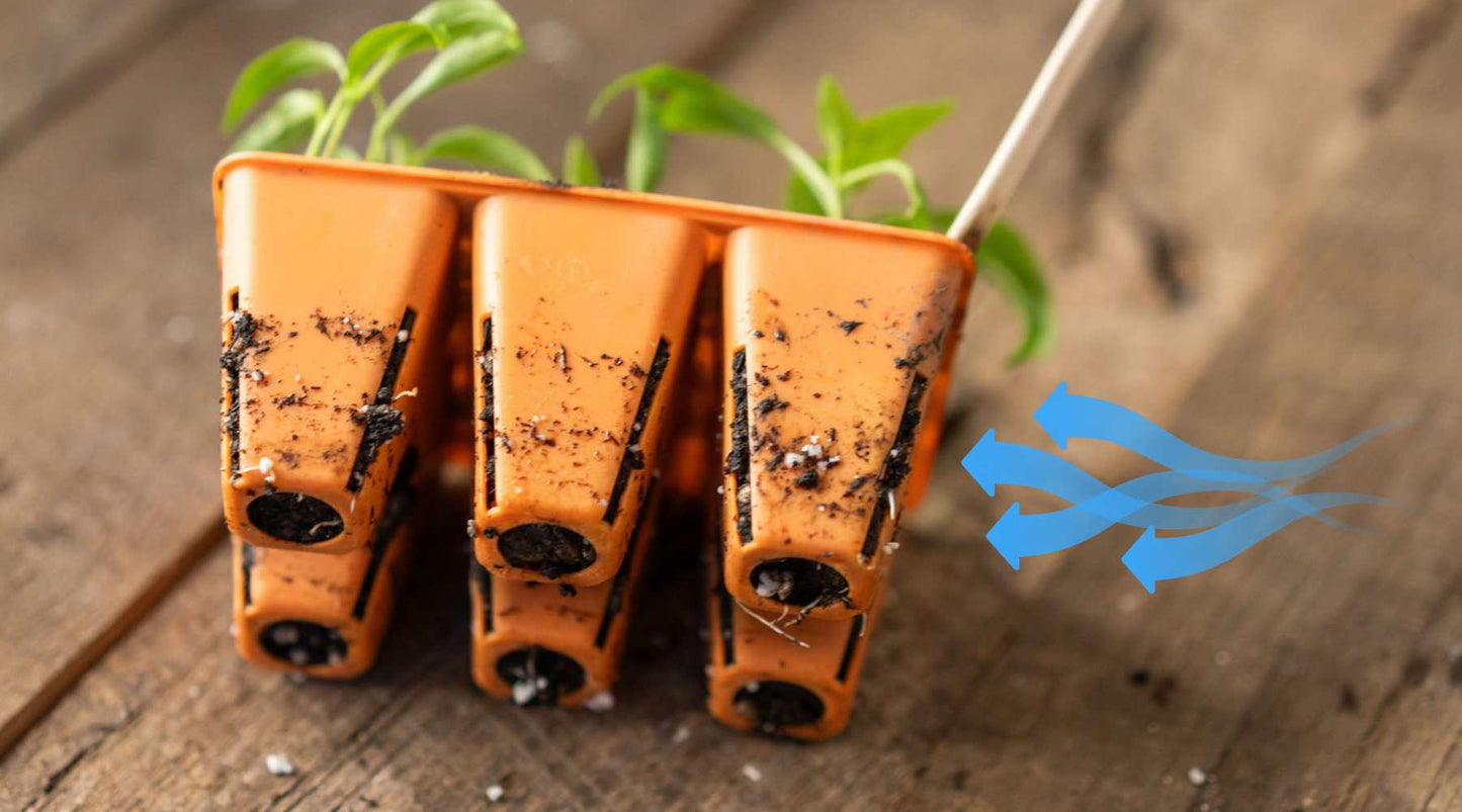 Bootstrap Farmer 6 Cell Air Pruning Punnets