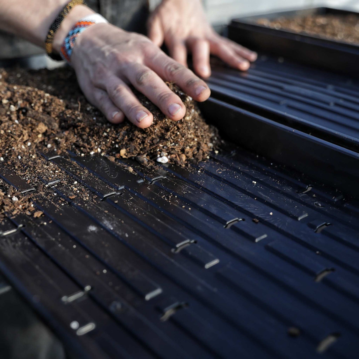 Adding soil into a microgreen tray nz, Heavy duty black 1020 shallow microgreen tray - Bootstrap Farmer NZ