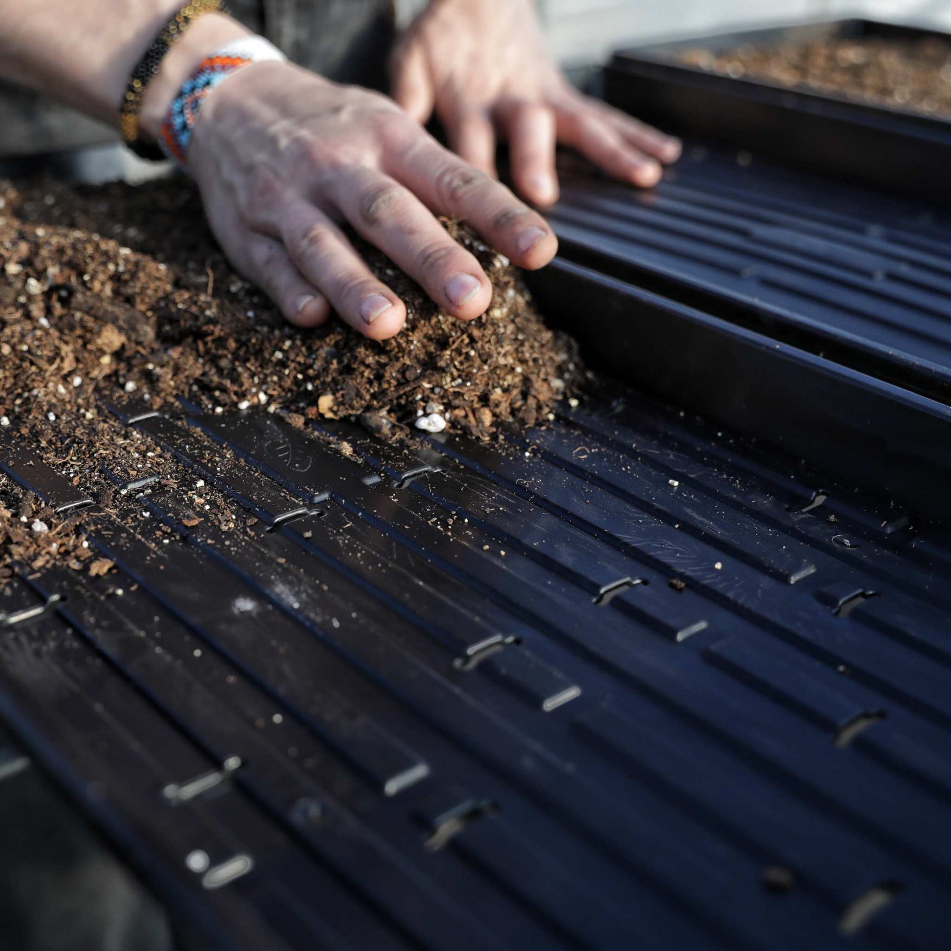 Adding soil into a microgreen tray nz, Heavy duty black 1020 shallow microgreen tray - Bootstrap Farmer NZ