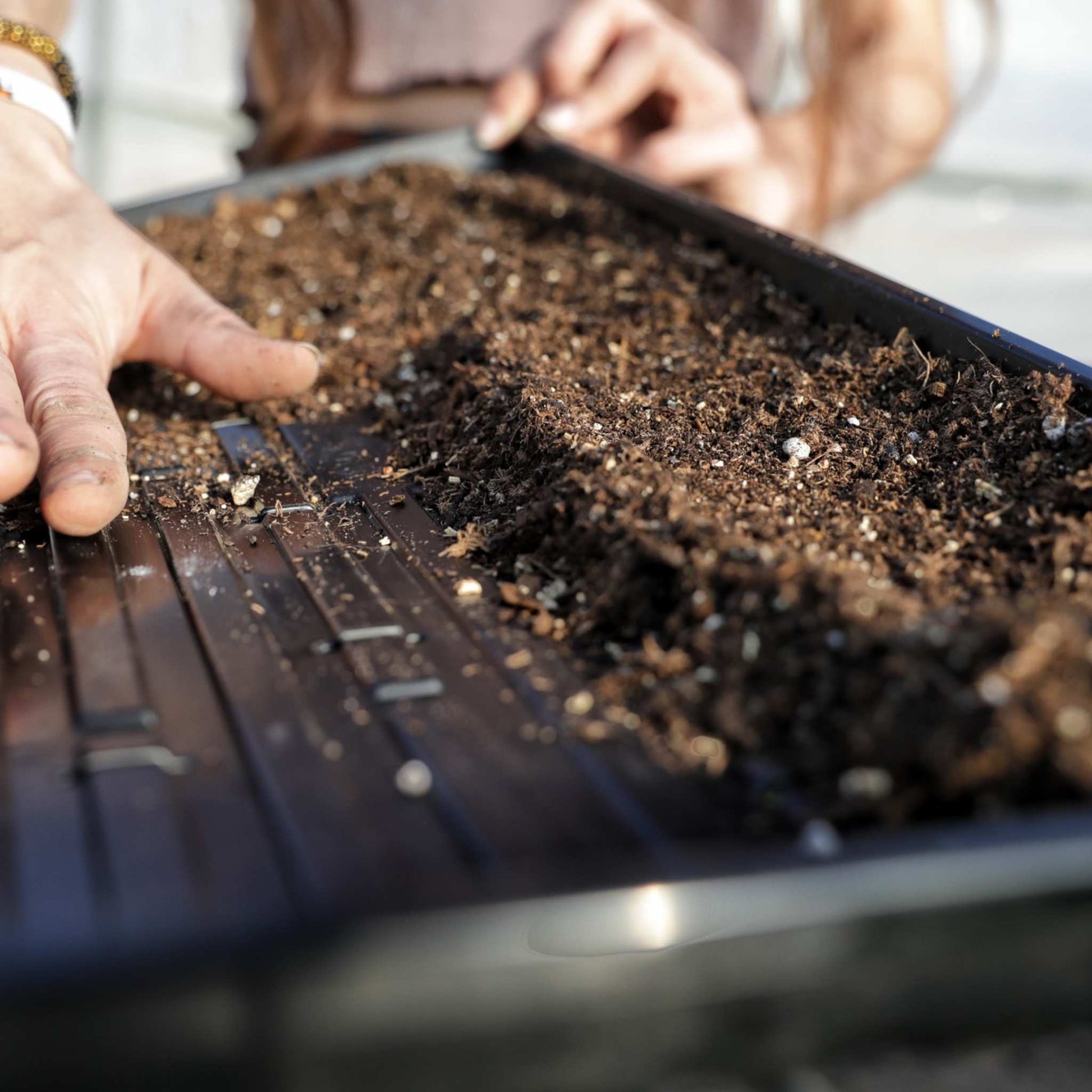 How to grow microgreens.  This is an awesome tray. nz