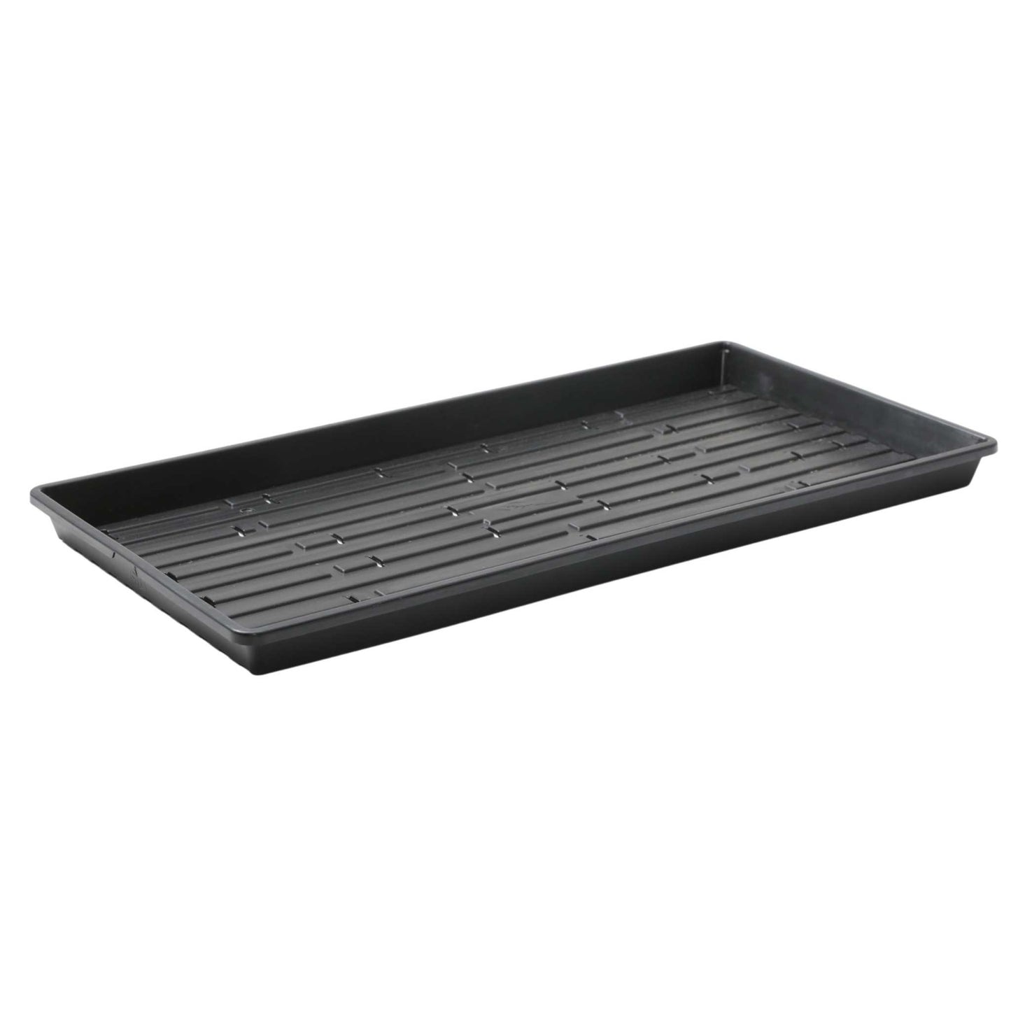 Where to buy Bootstrap Farmer trays in New Zealand