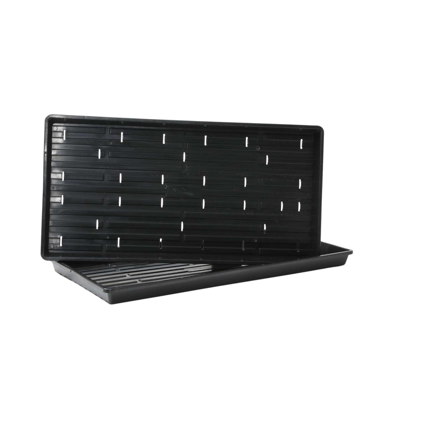 Where to buy Bootstrap Farmer trays in New Zealand
