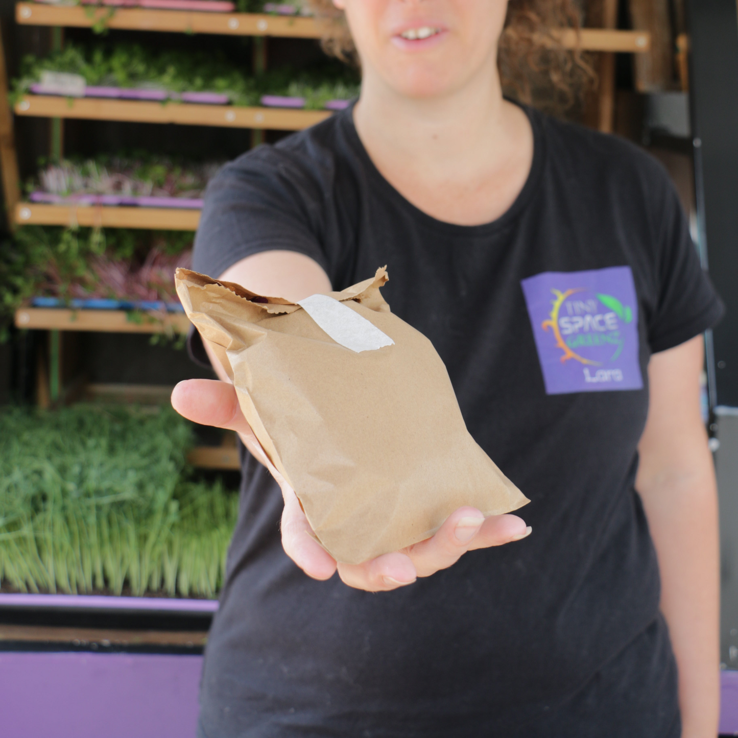 Cut Microgreens