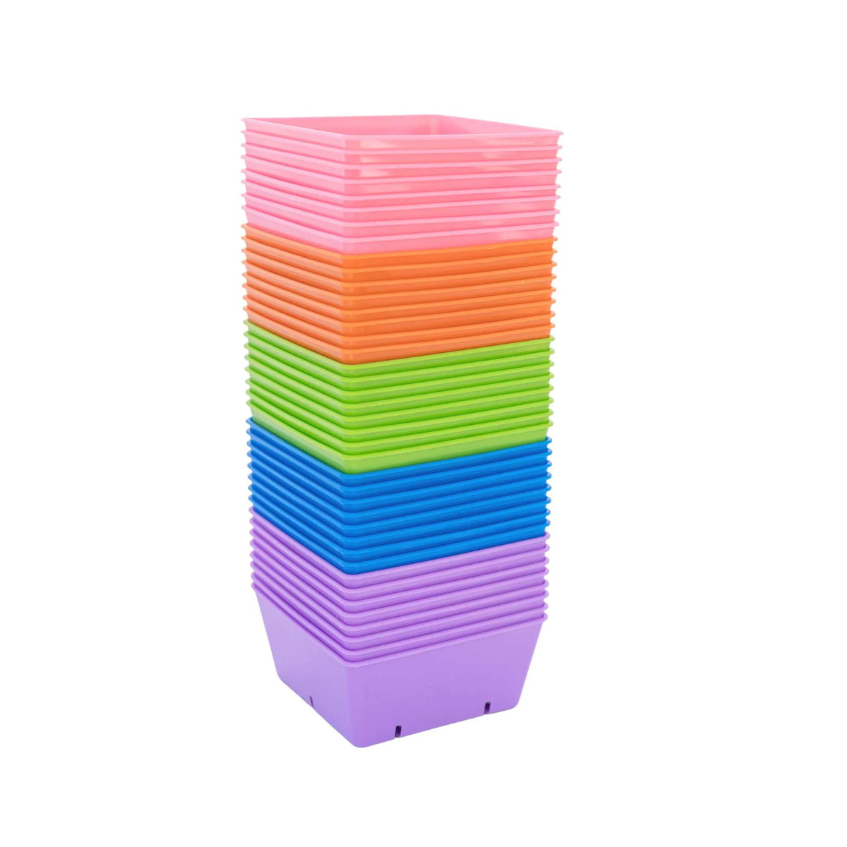 Multicoloured Bootstrap Farmer 5x5 deep trays