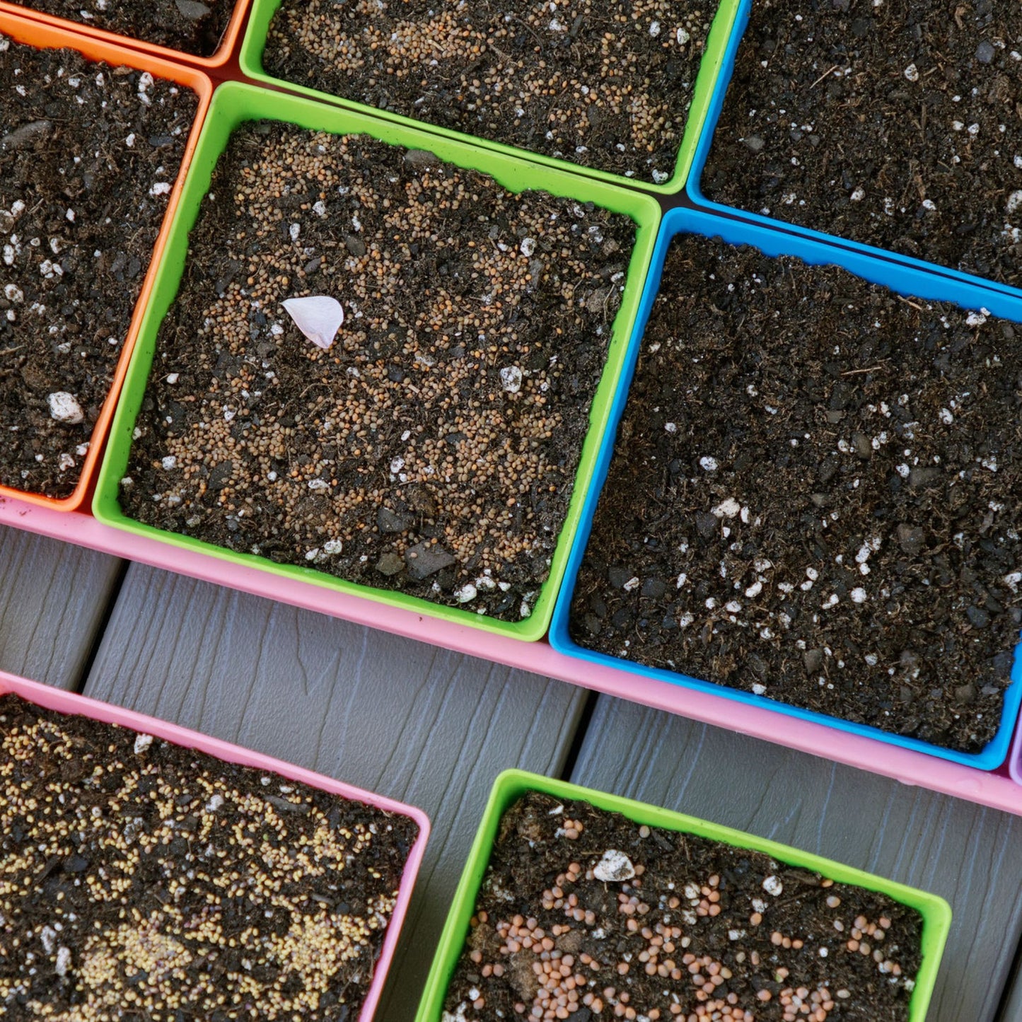 Mixing colors: Bootstrap Farmer 5x5 inserts for professional crop rotation