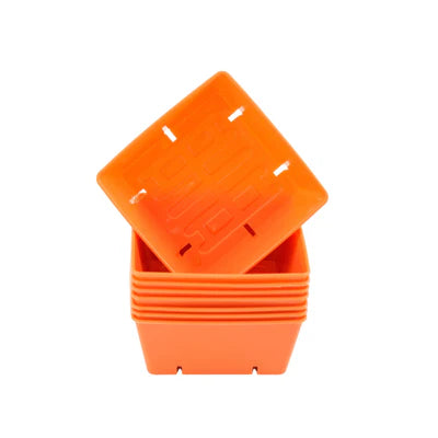 Orange 5x5 deep tray