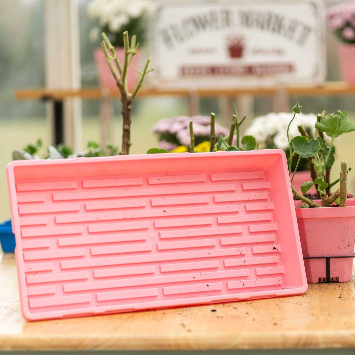 Bootstrap Farmer 1020 Deep Microgreen Trays | Extra-Strength NZ Stock