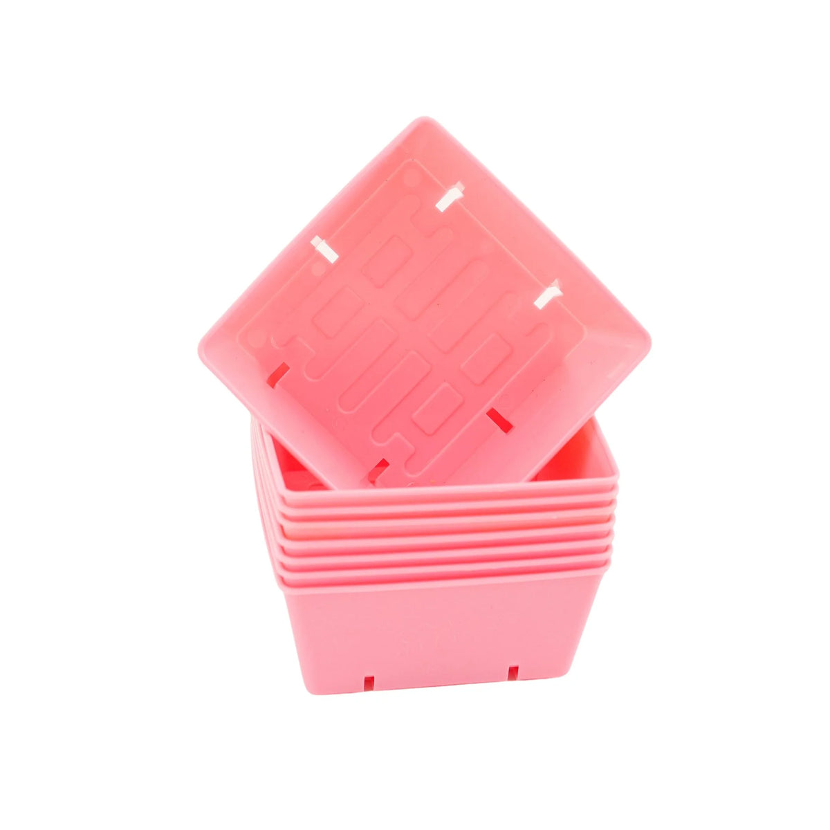 Pink 5x5 deep tray
