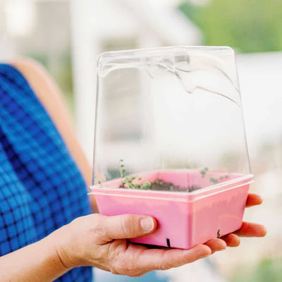 Pink 5x5 deep tray, side view
