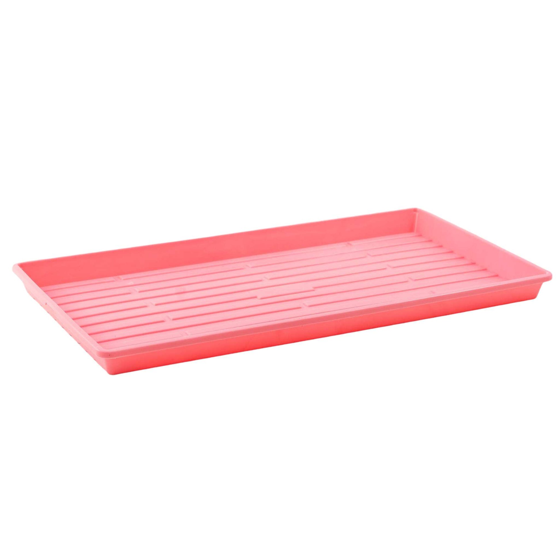 Durable 1020 microgreen tray no holes for bottom watering NZ
