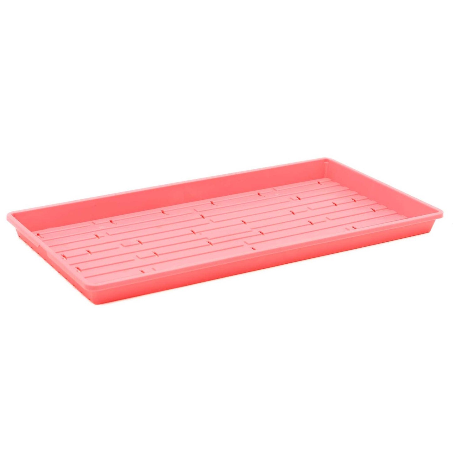 Professional grade 1020 seed tray with drainage holes New Zealand