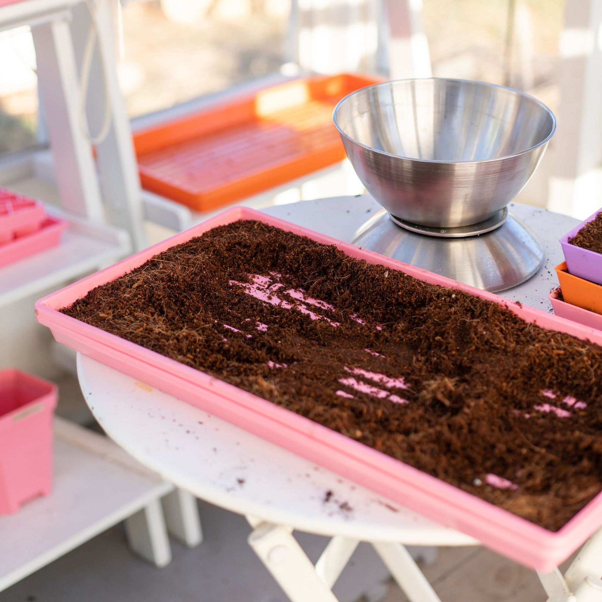 Bootstrap Farmer heavy duty 1020 microgreen tray NZ stockist