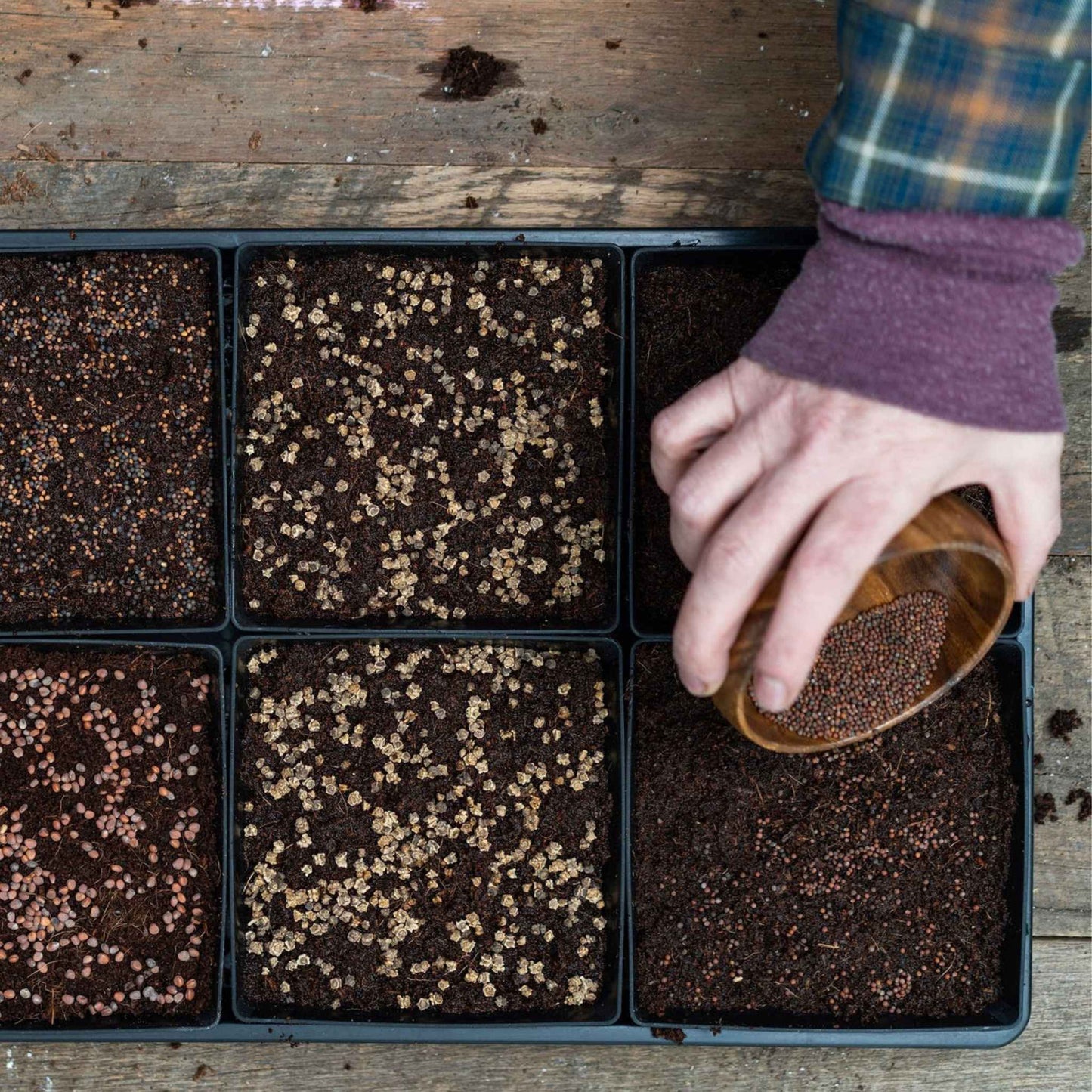 Bootstrap Farmer 5x5 Shallow Trays