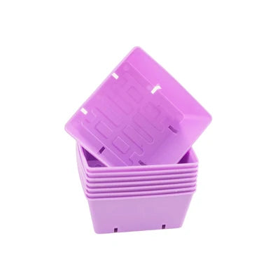 Purple 5x5 deep tray