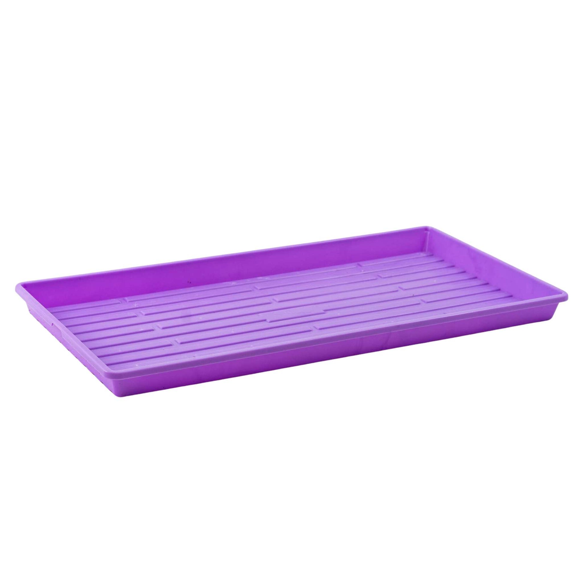 Where to buy Bootstrap Farmer trays in New Zealand