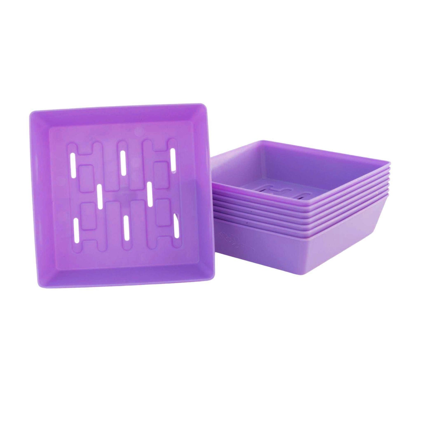 Purple 5x5 microgreen tray - vibrant professional inserts Tiny Space Greenz