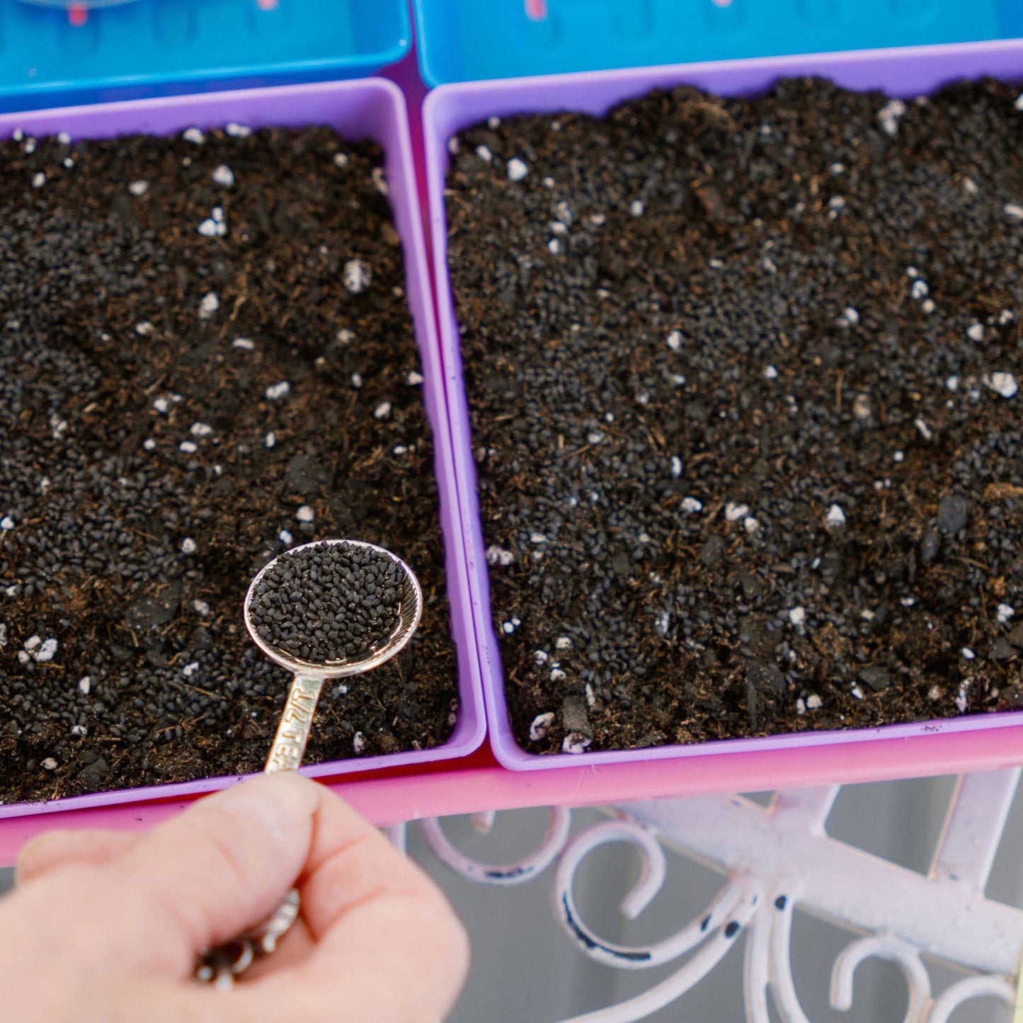 Bootstrap Farmer 5x5 Shallow Trays